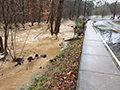 bolin_creek_at_capacity-thumbnail