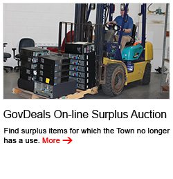 govdeals_on-line_surplus_auction