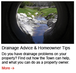 drainage