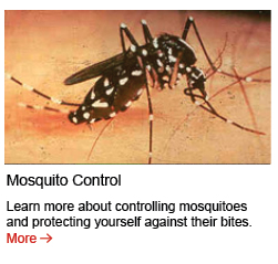 mosquito-control