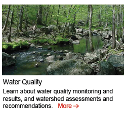 water-quality