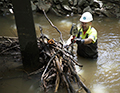 CREEK CLEANING