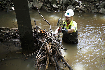 CREEK CLEANING