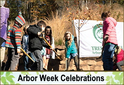 Arbor Day Celebration