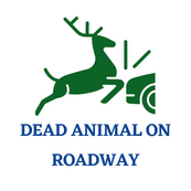 Dead Animal On Roadway Icon