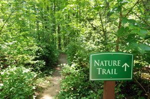 SCP Nature Trail