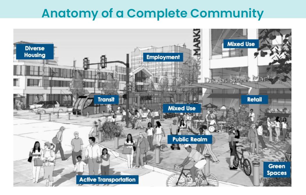 Anatomy of a Complete Community