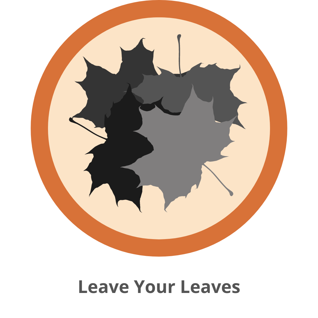 leave_your_leaves