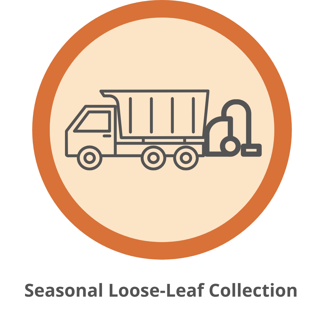 seasonal_loose-leaf_collection