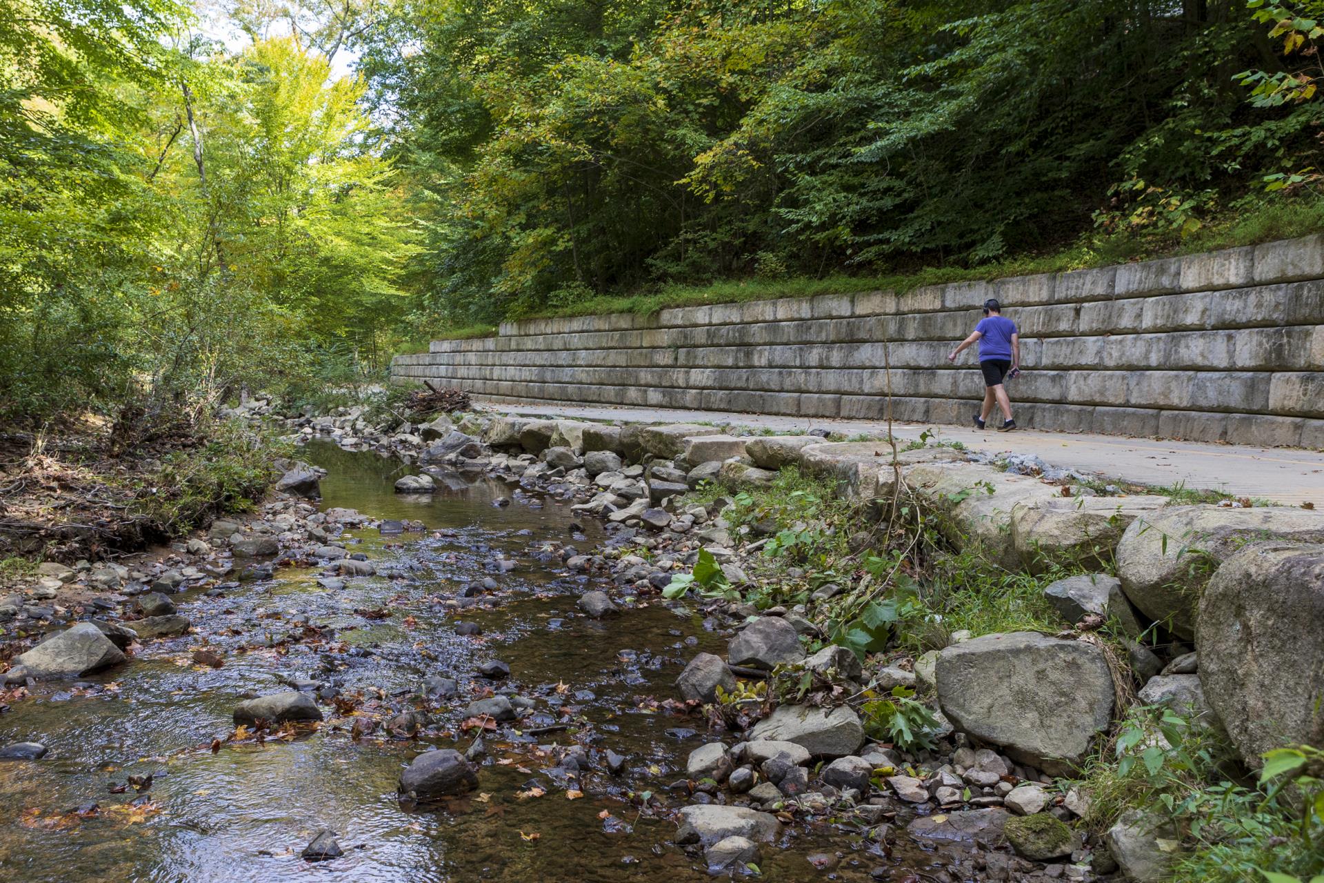 Bolin Creek and Trail