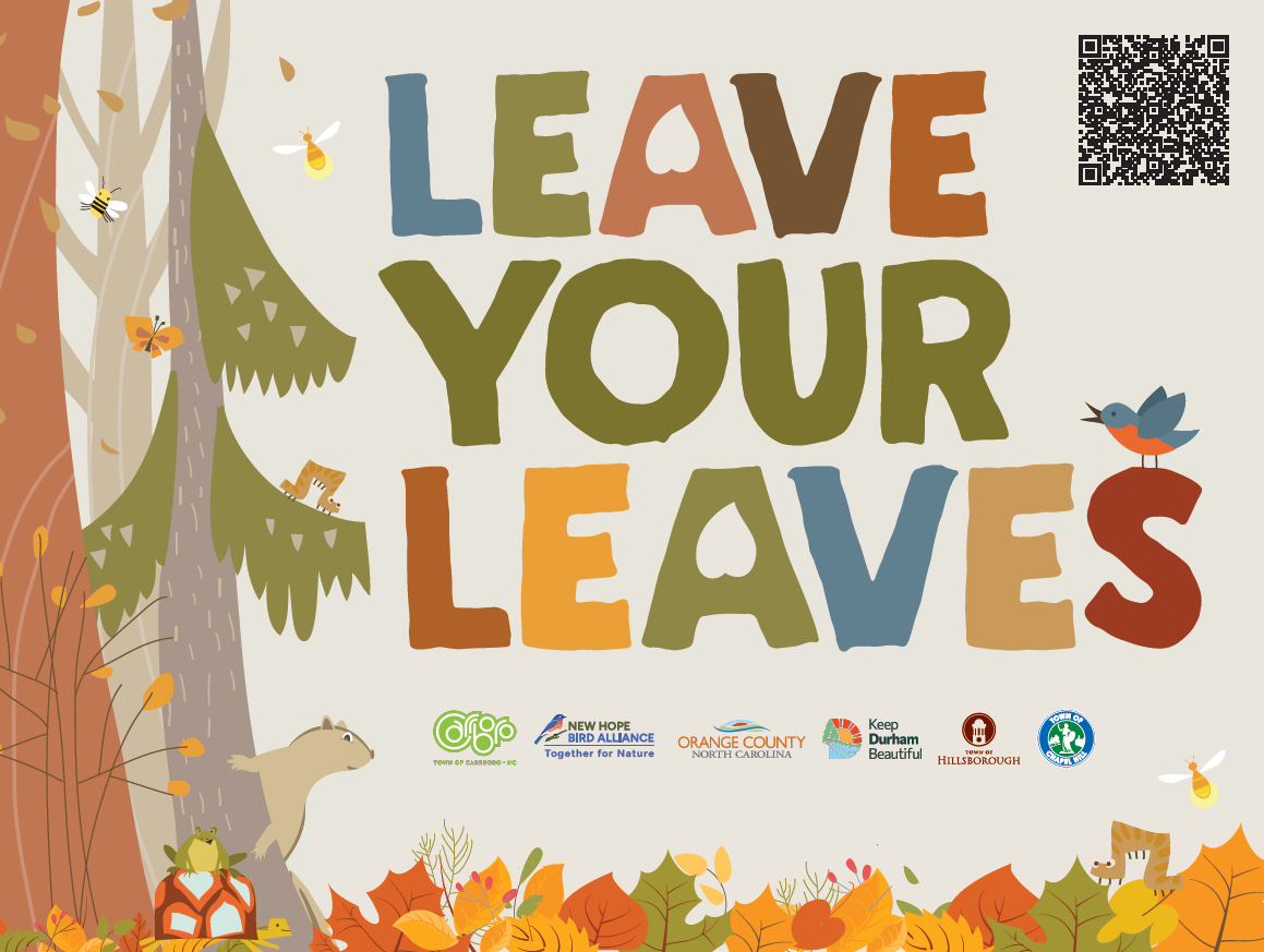 November 2024 Leave Your Leaves Poster