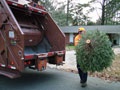 Chapel Hill Public Works crews collect Christmas trees for mulching