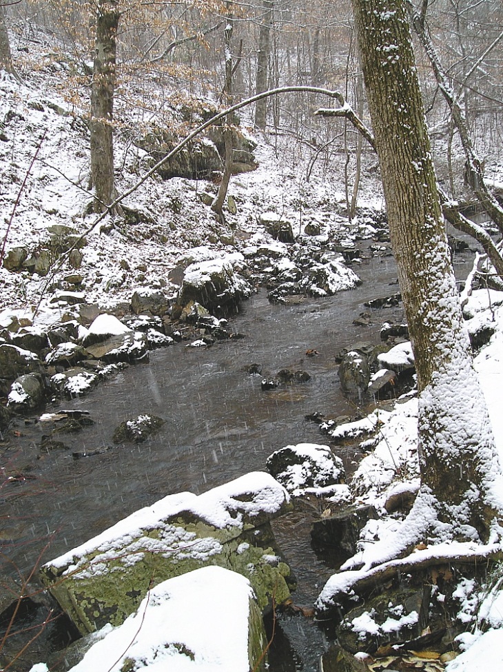 Bolin Creek in Winter by Dave Otto